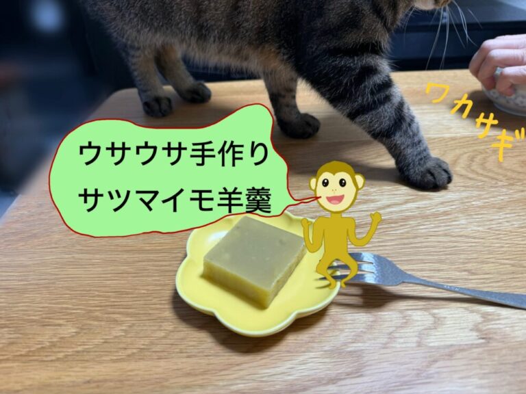 今日の猫さん – ネコ好きサルとウサウサ